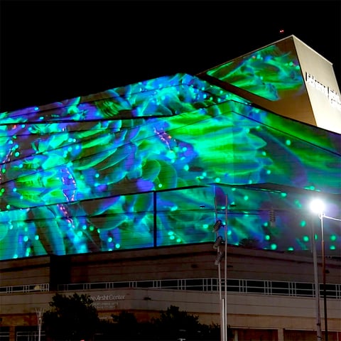 Arhst Coral Morphologic Event