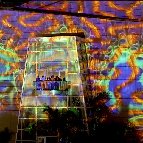 Coral Morphologic- People Watching